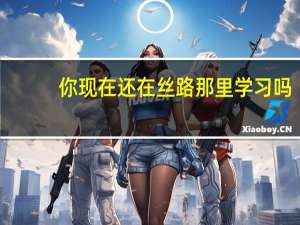 你现在还在丝路那里学习吗，学费多少啊
