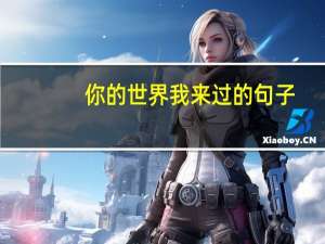 你的世界我来过的句子