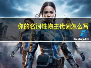 你的名词性物主代词怎么写