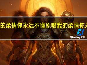 你的柔情你永远不懂原唱 我的柔情你永远不懂