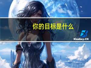 你的目标是什么