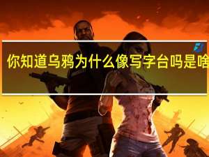 你知道乌鸦为什么像写字台吗是啥意思（你知道乌鸦为什么像写字台）