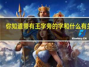 你知道带有王字旁的字和什么有关吗
