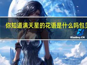 你知道满天星的花语是什么吗包贝尔（你知道满天星的花语是什么吗）
