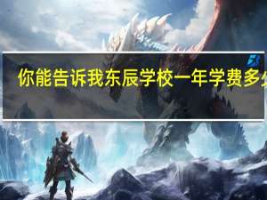 你能告诉我东辰学校一年学费多少么