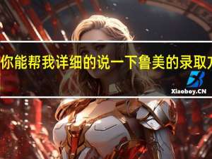 你能帮我详细的说一下鲁美的录取方式吗