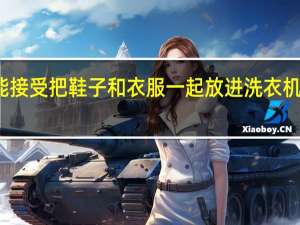 你能接受把鞋子和衣服一起放进洗衣机一起洗吗