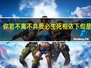 你若不离不弃我必生死相依下句是什么（你若不离不弃我必生死相依）