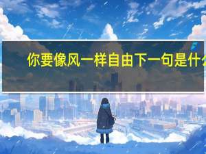你要像风一样自由下一句是什么