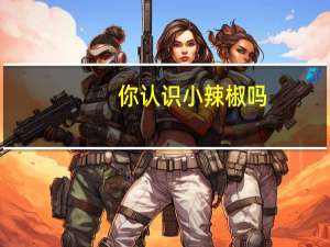 你认识小辣椒吗（小辣椒怎么样(小辣椒怎么样了)）