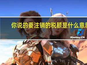 你说的要注销的税额是什么意思？