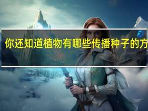 你还知道植物有哪些传播种子的方法吗