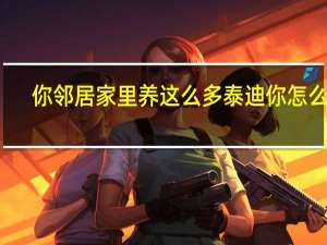 你邻居家里养这么多泰迪你怎么看（你邻居的妻子）