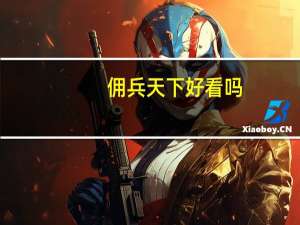 佣兵天下好看吗,为什么我看不下去（佣兵天下好看么）