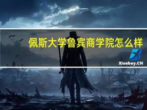 佩斯大学鲁宾商学院怎么样