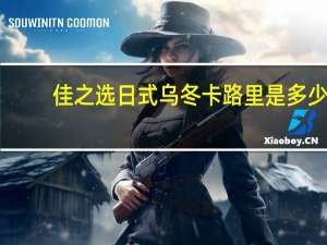 佳之选 日式乌冬卡路里是多少