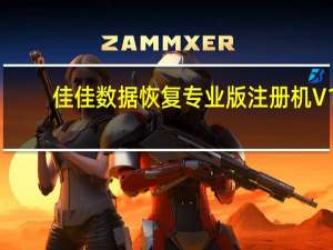 佳佳数据恢复专业版注册机 V1.0 绿色免费版（佳佳数据恢复专业版注册机 V1.0 绿色免费版功能简介）