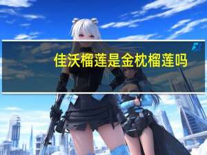 佳沃榴莲是金枕榴莲吗