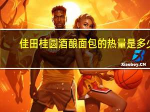 佳田 桂圆酒酿面包的热量是多少