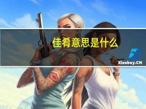 佳肴意思是什么