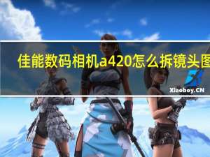 佳能数码相机a420怎么拆镜头图解（佳能数码相机a480）