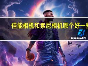 佳能相机和索尼相机哪个好一些