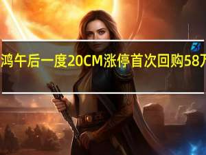 佳讯飞鸿午后一度20CM涨停首次回购58 万股公司股份