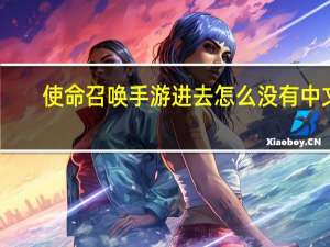 使命召唤手游进去怎么没有中文