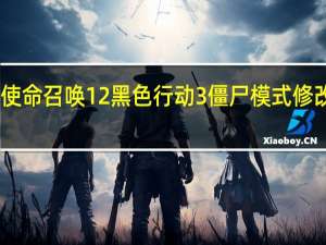 使命召唤12黑色行动3僵尸模式修改器 V1.3.3 绿色免费版（使命召唤12黑色行动3僵尸模式修改器 V1.3.3 绿色免费版功能简介）