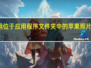 使用位于应用程序文件夹中的苹果照片应用程序