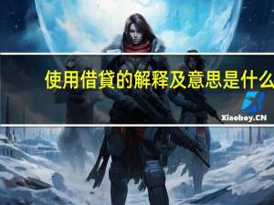 使用借貸的解释及意思是什么