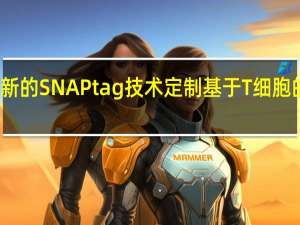 使用新的SNAPtag技术定制基于T细胞的免疫疗法