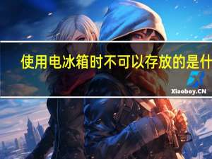 使用电冰箱时不可以存放的是什么（使用电冰箱时不可以存放）