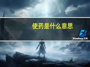 使药是什么意思