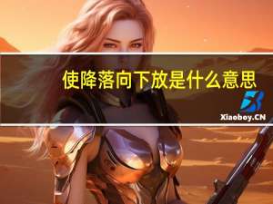 使降落向下放是什么意思（下放是什么意思）
