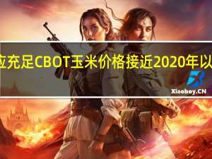 供应充足CBOT玉米价格接近2020年以来最低位