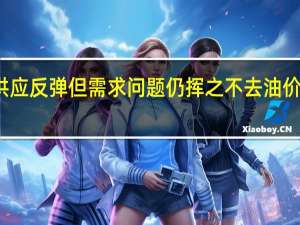供应反弹但需求问题仍挥之不去油价延跌势