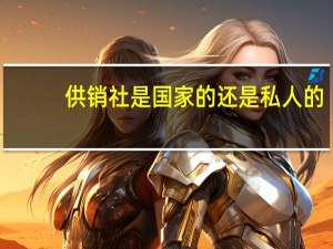 供销社是国家的还是私人的