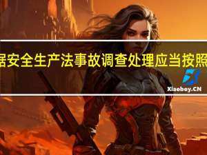 依据安全生产法事故调查处理应当按照实事求是（依据安全生产法事故调查处理应当按照）