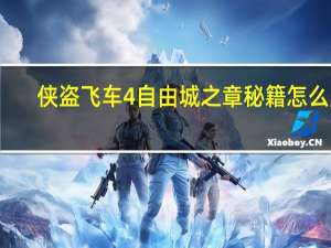 侠盗飞车4自由城之章秘籍怎么用（侠盗飞车4自由城之章秘籍）