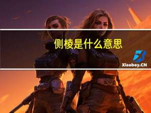 侧棱是什么意思