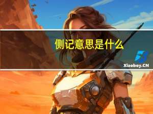 侧记意思是什么