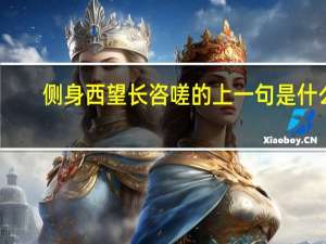 侧身西望长咨嗟的上一句是什么