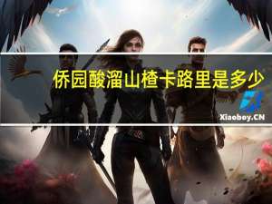 侨园 酸溜山楂卡路里是多少