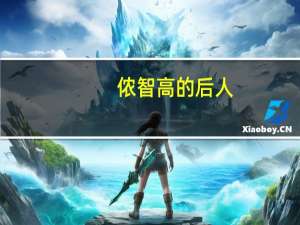 侬智高的后人（阿侬-北宋侬峒起义领袖侬智高生母简介）