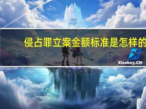 侵占罪立案金额标准是怎样的