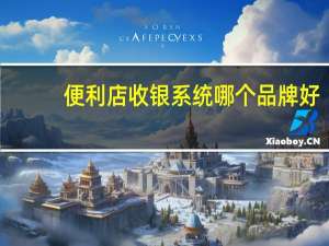 便利店收银系统哪个品牌好（便利店收银系统）