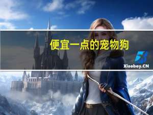 便宜一点的宠物狗