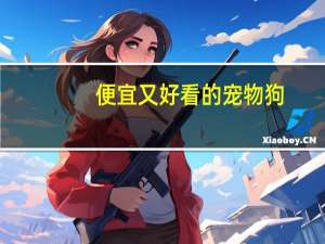 便宜又好看的宠物狗