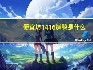 便宜坊1416烤鸭是什么
